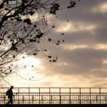 Thumbnail of post image 141